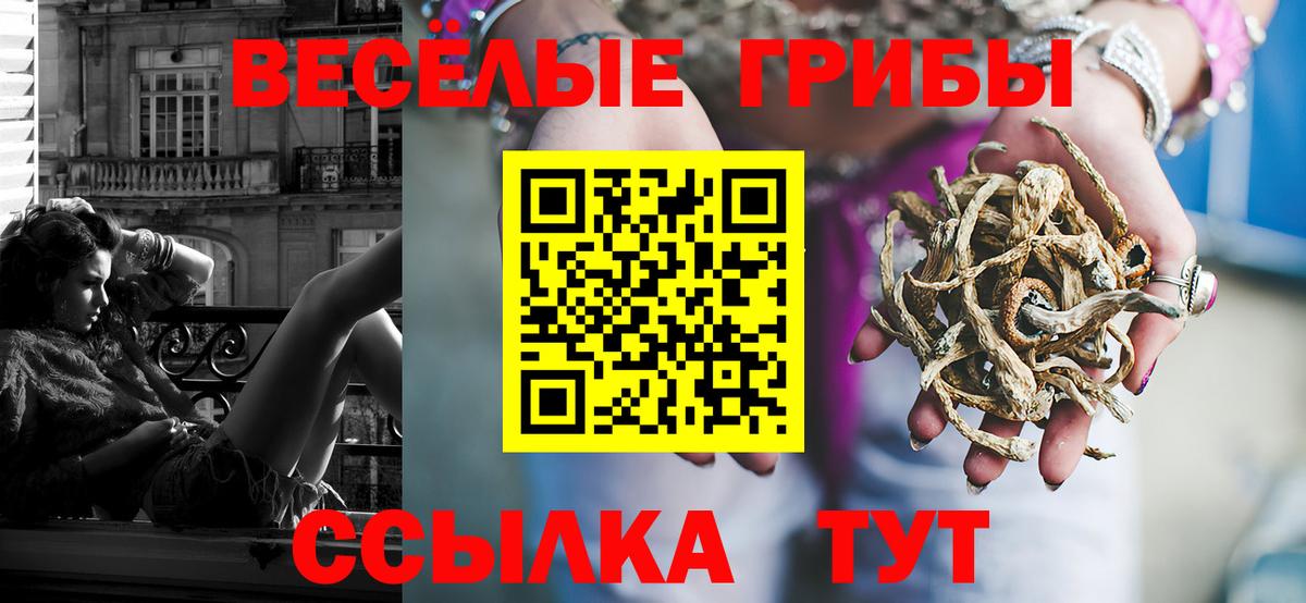 Псилоцибиновые грибы ЛСД Астрахань